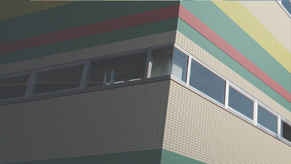 Gạch thẻ INAX-255/DPL-103V